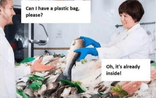 Life is Plastic, It’s Not&nbsp;Fantastic